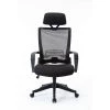 19.49 in. Black Seat W Mesh Office Chair, High Back Chair - Adjustable Headrest with Arms, Lumbar Support by Edendirect