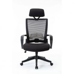 19.49 in. Black Seat W Mesh Office Chair, High Back Chair - Adjustable Headrest with Arms, Lumbar Support by Edendirect
