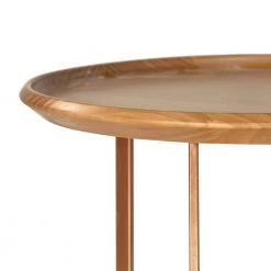 Javitz 19.29 in. Cinnamon Modern Round End Table by Luxor 10 Javitz 19.29 in. Cinnamon Modern Round End Table by Luxor -Furniture Store cinnamon luxor end side tables 2543hd1 1f 1000