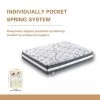 FULL Size Soft Hybrid Pocket Spring 12in. Tight Top Mattress by SUNRINX